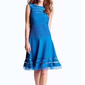 Tadashi Shoji Sleeveless Mesh Illusion Dress $468